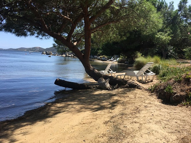 Les Pieds dans l'eau