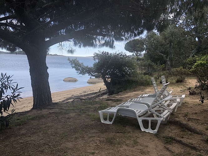 LES PIEDS DANS L'EAU