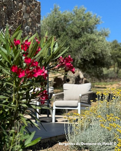 LES BERGERIES DU DOMAINE DE PINELLI