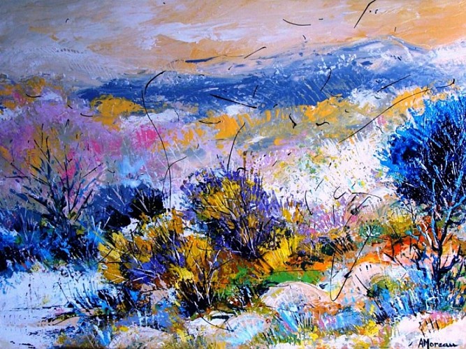 ALAIN MOREAU - PHOTOGRAPHE - CALZARELLU_10