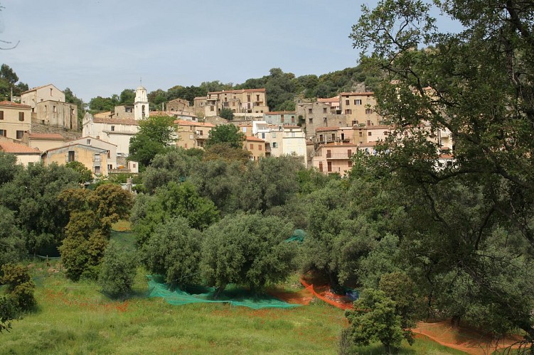village de Balagne