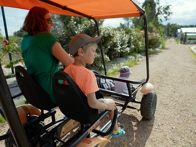 LES PÉPINIÈRES DE SAINT CYPRIEN