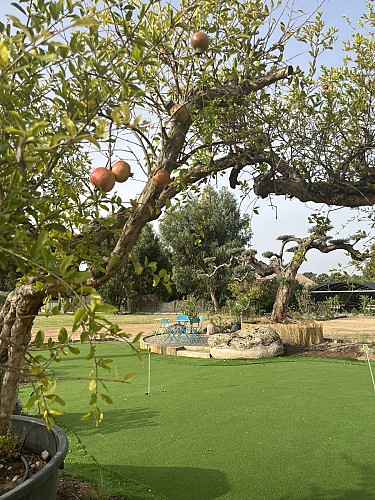 LES PÉPINIÈRES DE SAINT CYPRIEN