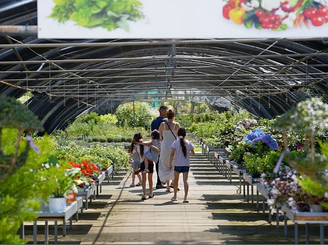 LES PÉPINIÈRES DE SAINT CYPRIEN