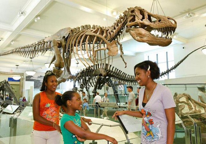 Besuch des American Museum of Natural History