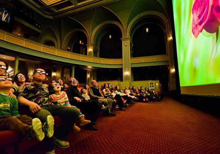 Billet American Museum of Natural History - New York