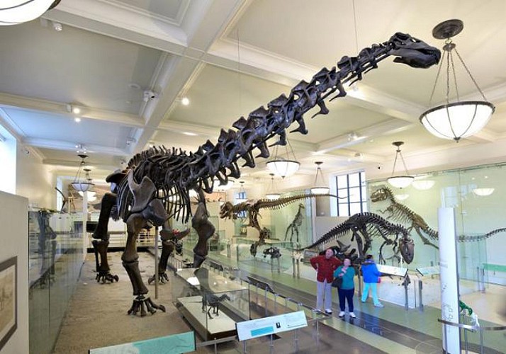 Visita del Museo di Storia Naturale di New York