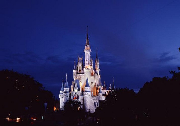 Magic Kingdom Tickets – Walt Disney World Orlando