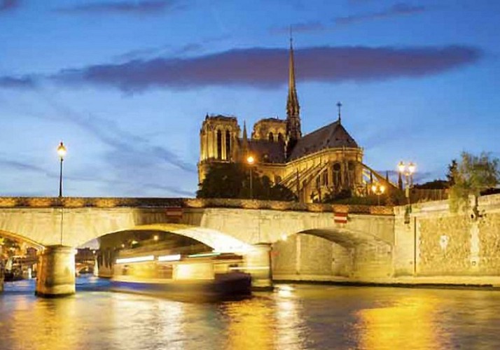 3-in-One Evening Tour : Bus Tour, Seine River Cruise and Visit to the Eiffel Tower with Priority Access