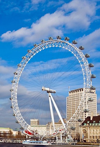 Biglietti per la Ruota di Londra con citytour e crociera sul Tamigi
