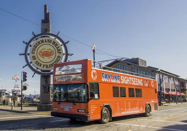 All of San Francisco by hop-on hop-off bus - 1 or 2 day pass with options for a night tour