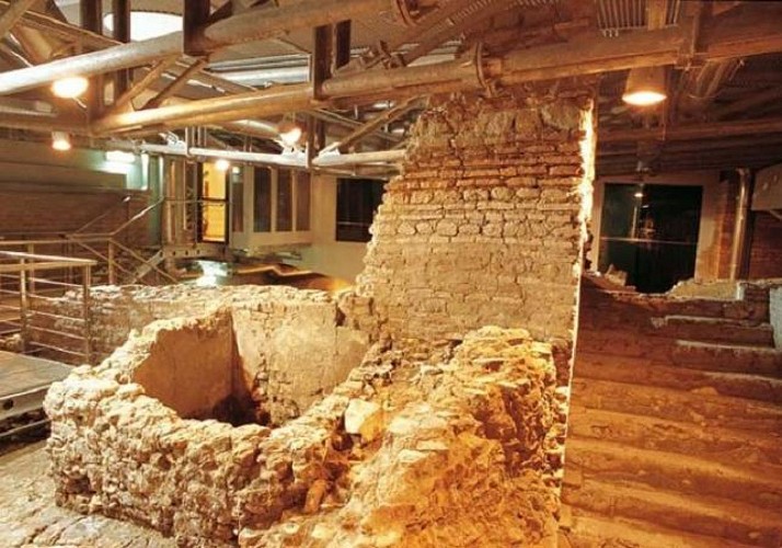 Visita guiada del subterráneo de la antigua Roma: Estadio de Domitien y la fontana de Trevi