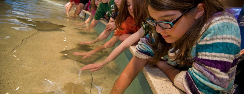 Skip-the-Line Tickets to the New England Aquarium – Boston