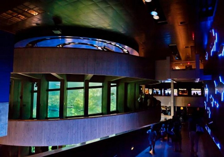 Skip-the-Line Tickets to the New England Aquarium – Boston