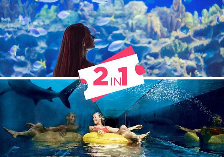 2 in 1 Tickets: Wasserpark „Aquaventure“ + Aquarium „The Lost Chambers“