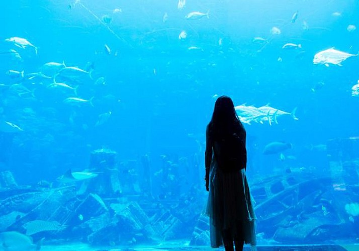 2 in 1 Tickets: Wasserpark „Aquaventure“ + Aquarium „The Lost Chambers“