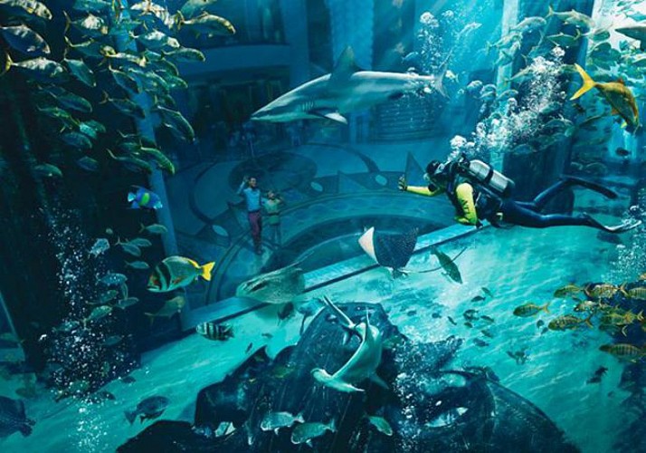 2 in 1 Tickets: Wasserpark „Aquaventure“ + Aquarium „The Lost Chambers“