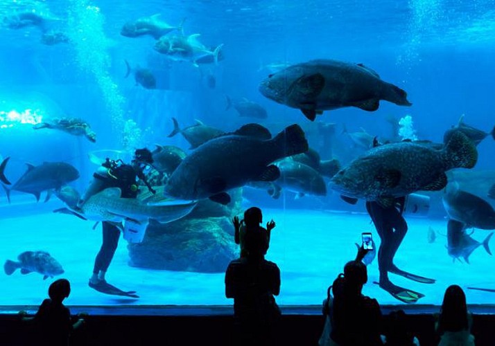 Atlantis Aquaventure ticket (combo with Lost Chambers aquarium in option) - Dubai