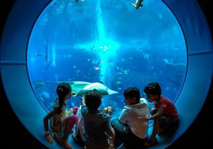 Atlantis Aquaventure ticket (combo with Lost Chambers aquarium in option) - Dubai