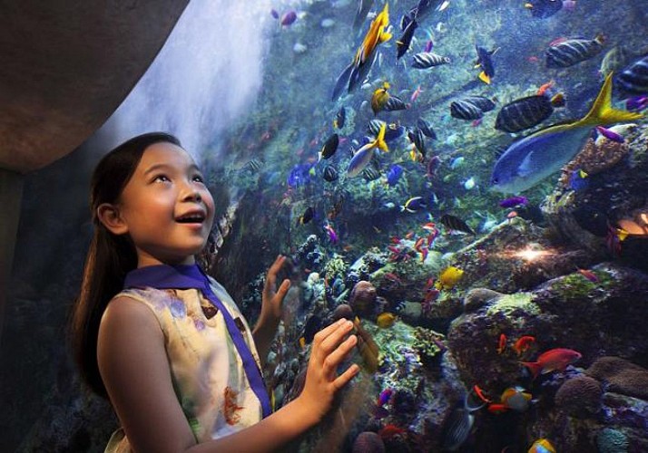 Atlantis Aquaventure ticket (combo with Lost Chambers aquarium in option) - Dubai