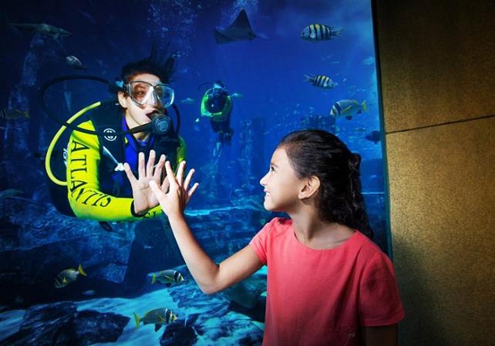 Atlantis Aquaventure ticket (combo with Lost Chambers aquarium in option) - Dubai
