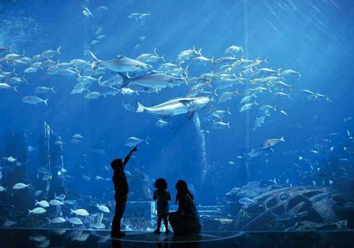 Entradas 2 en 1: parque acuático "Aquaventura" + acuario "The Lost Chambers"