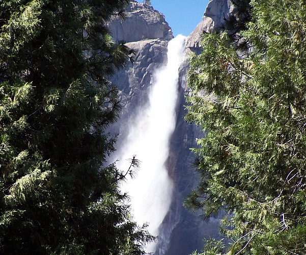 Day Trip to Yosemite National Park – departing from San Francisco