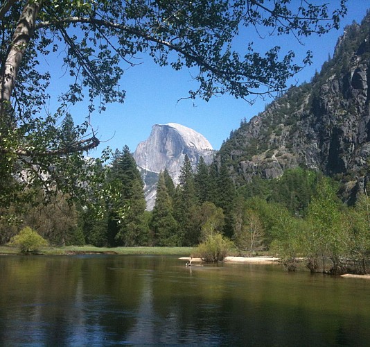 Day Trip to Yosemite National Park – departing from San Francisco