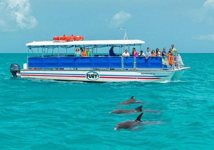 Dolphin-Watching Cruise + Snorkeling