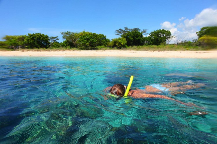 Dolphin-Watching Cruise + Snorkeling