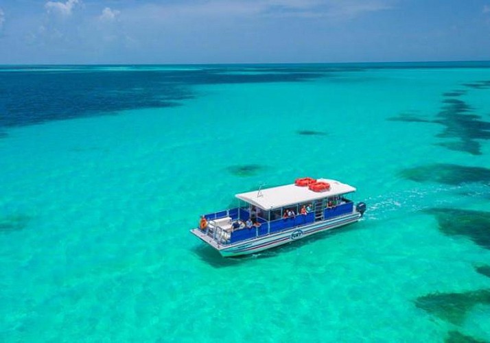 Croisière d’observation des dauphins et plongée avec tuba - Key West