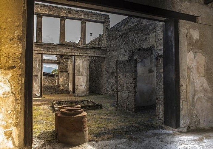 Tour de Pompeya con visita libre - Salida de Roma