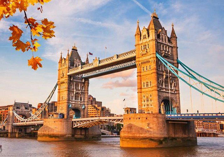 Entradas para el Tower Bridge Exhibition