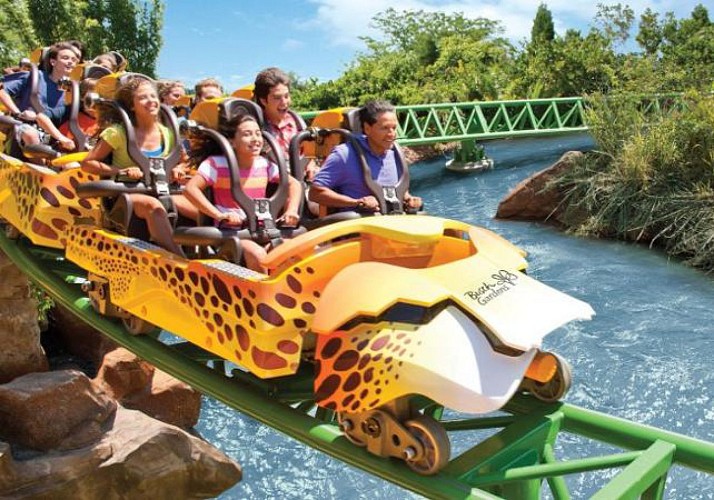 Tickets for Busch Gardens – Tampa Theme Park – Fast-track entry