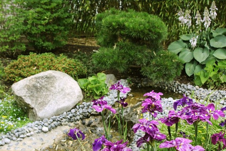 Jardin japonnais zen