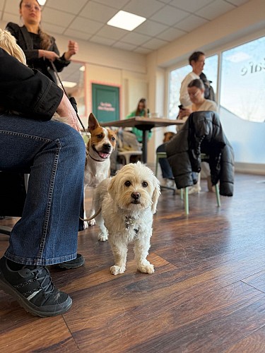 Le troquet des poilus