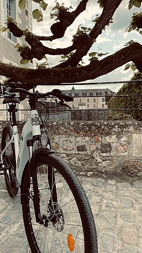 Chez Léon location de vélos à Savonnieres