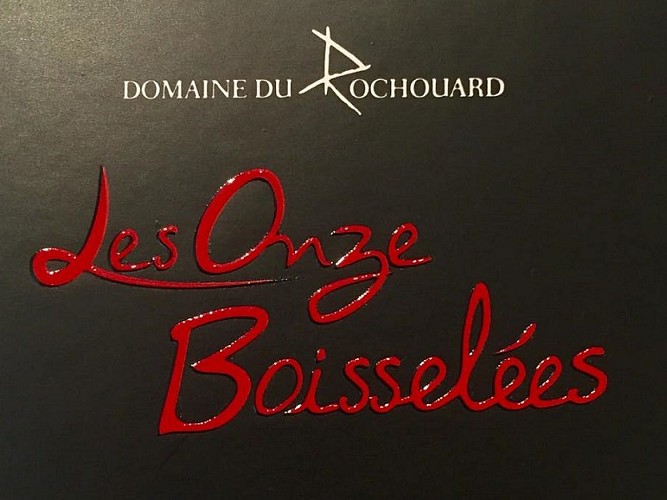 Domaine du Rochouard - Bourgueil