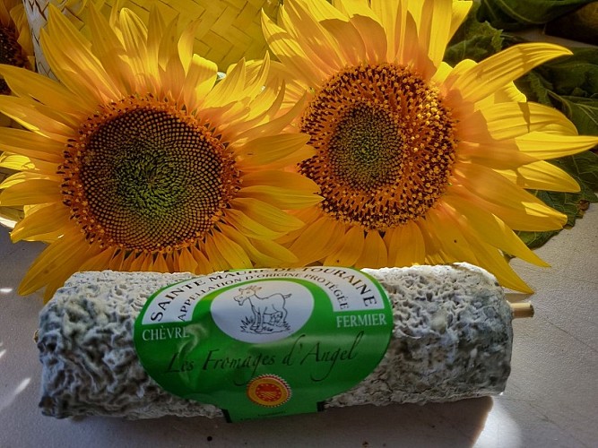 Les fromages d'Angel - Sainte-Maure-de-Touraine 