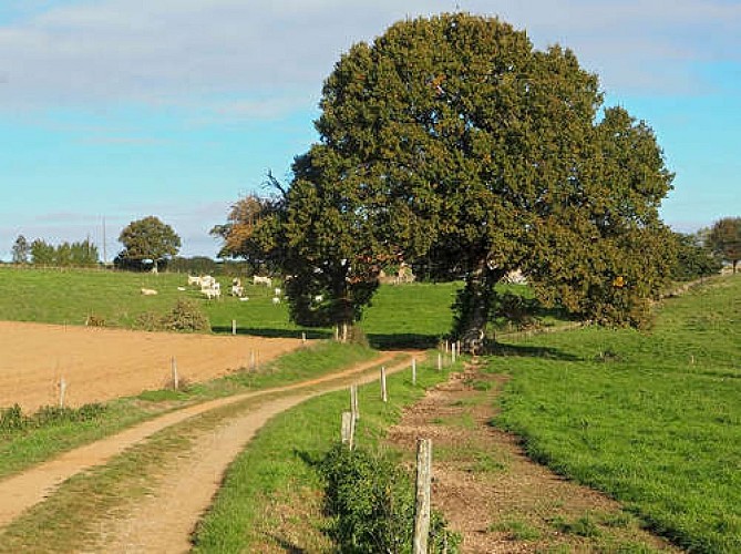 image du object