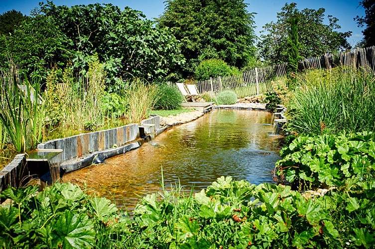 Le jardin et la piscine - Domaine de la Juranvillerie - Ussé