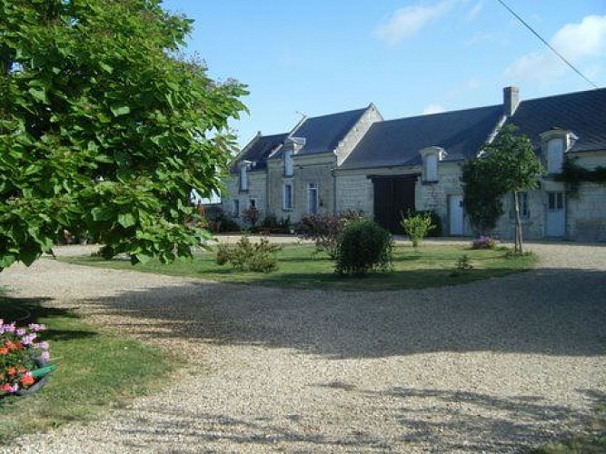 Gîte chez le vigneron - Savigny en Véron