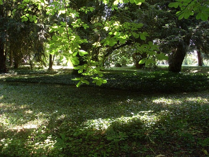La Héraudière - Chambre d'hôtes à Tours