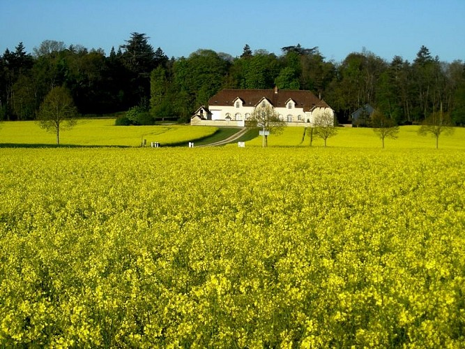 Gite St-Jean-St-Germain Domaine de la maison neuve 11