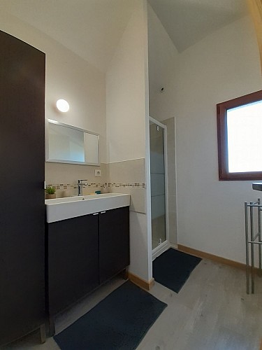 CHOUZE SUR LOIRE- LA GRANGE DE LA HURTAUDERIE-Salle de douche 2