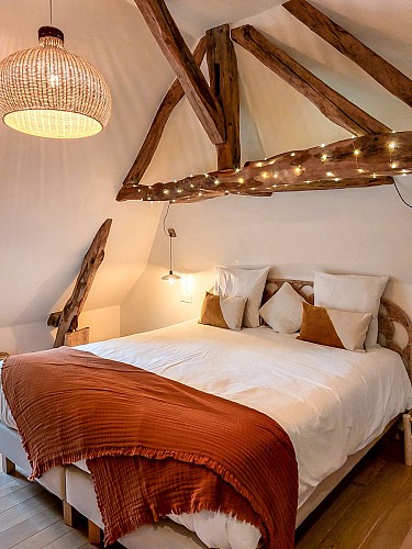 Chambre Bohémia - Domaine du Val Sauvage - Chambres d'hôtes à Langeais