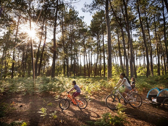 Balades à vélo