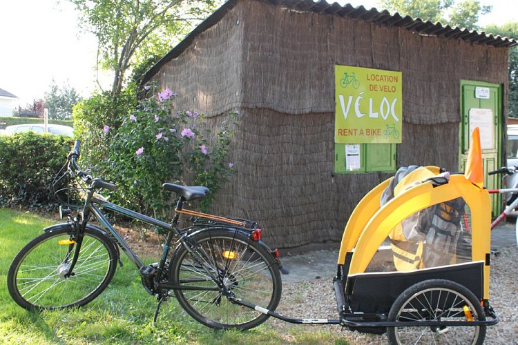 Camping Les Acacias, à 150 mètres de La Loire à vélo.