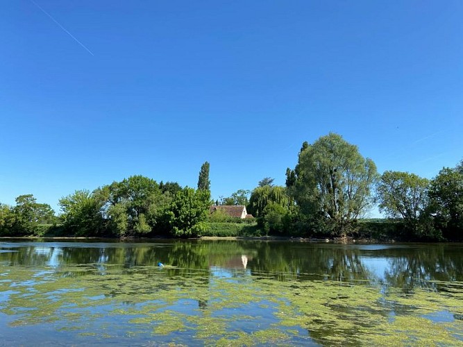Sentier-interpretation-Port-Chandon (5)