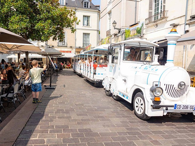 Petit-Train-de-Tours_Credit_Maemotion photographe (7)
